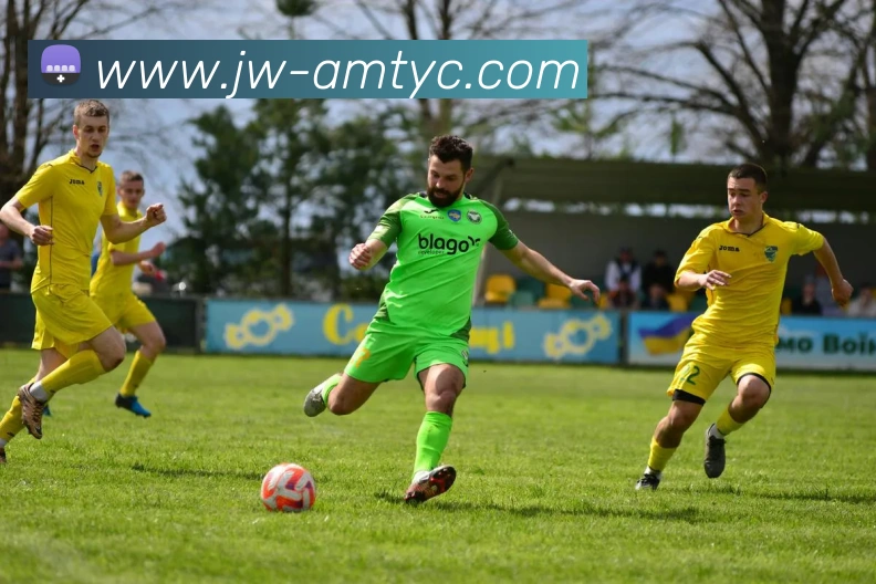 太阳城网站APP 封面图